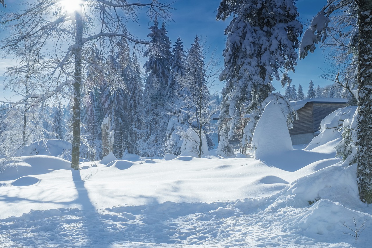 Зимний пейзаж – AlpicAir Nordic Hyper работает до -30 °C